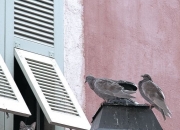 开云体育在线-卡拉斯科以一敌众，安哥拉对阵瑞典中的压制级艺术