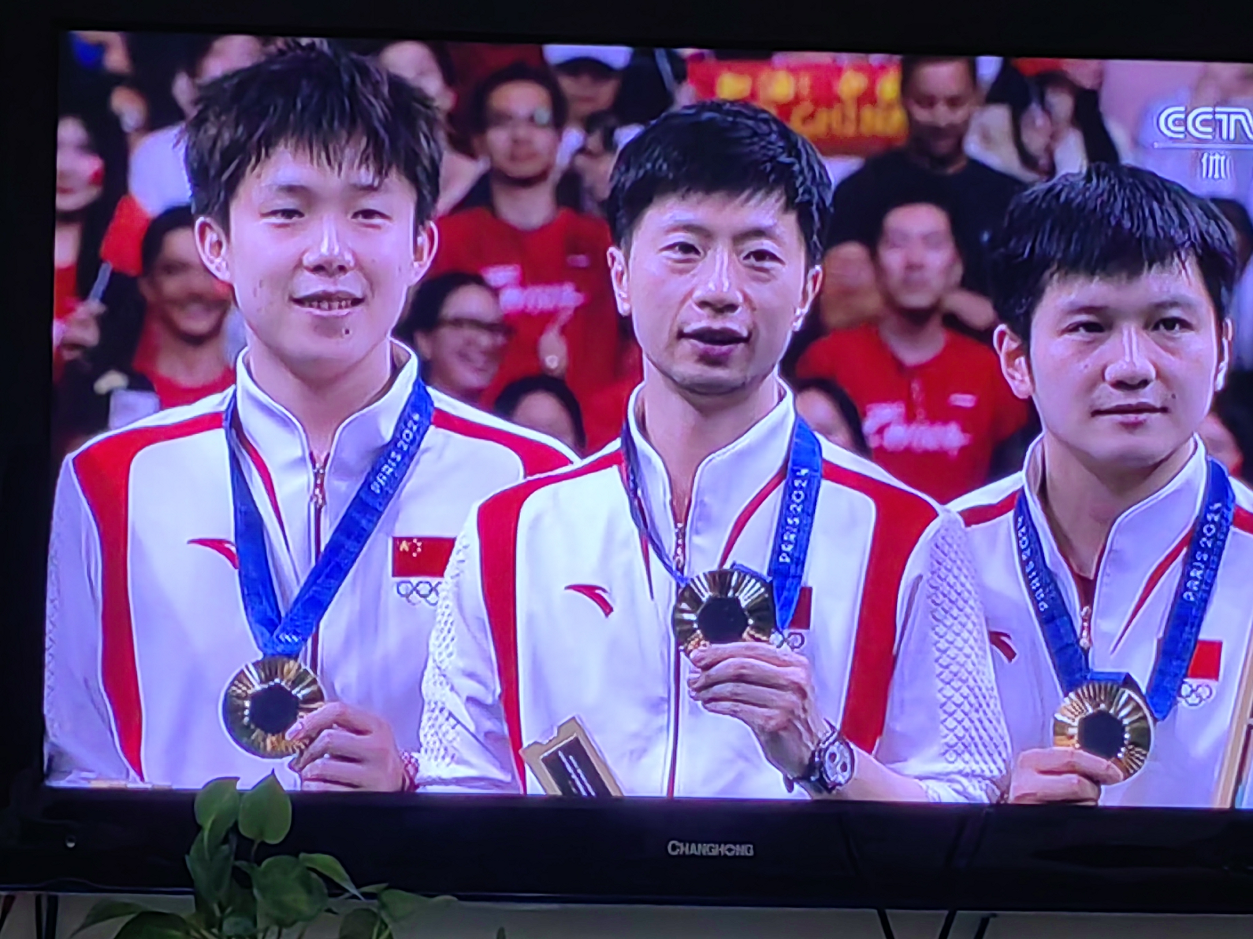 瑞典队力克德国队，马龙高光表现的简单介绍