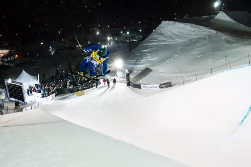 加拿大自由式滑雪选手斩获铜牌的简单介绍