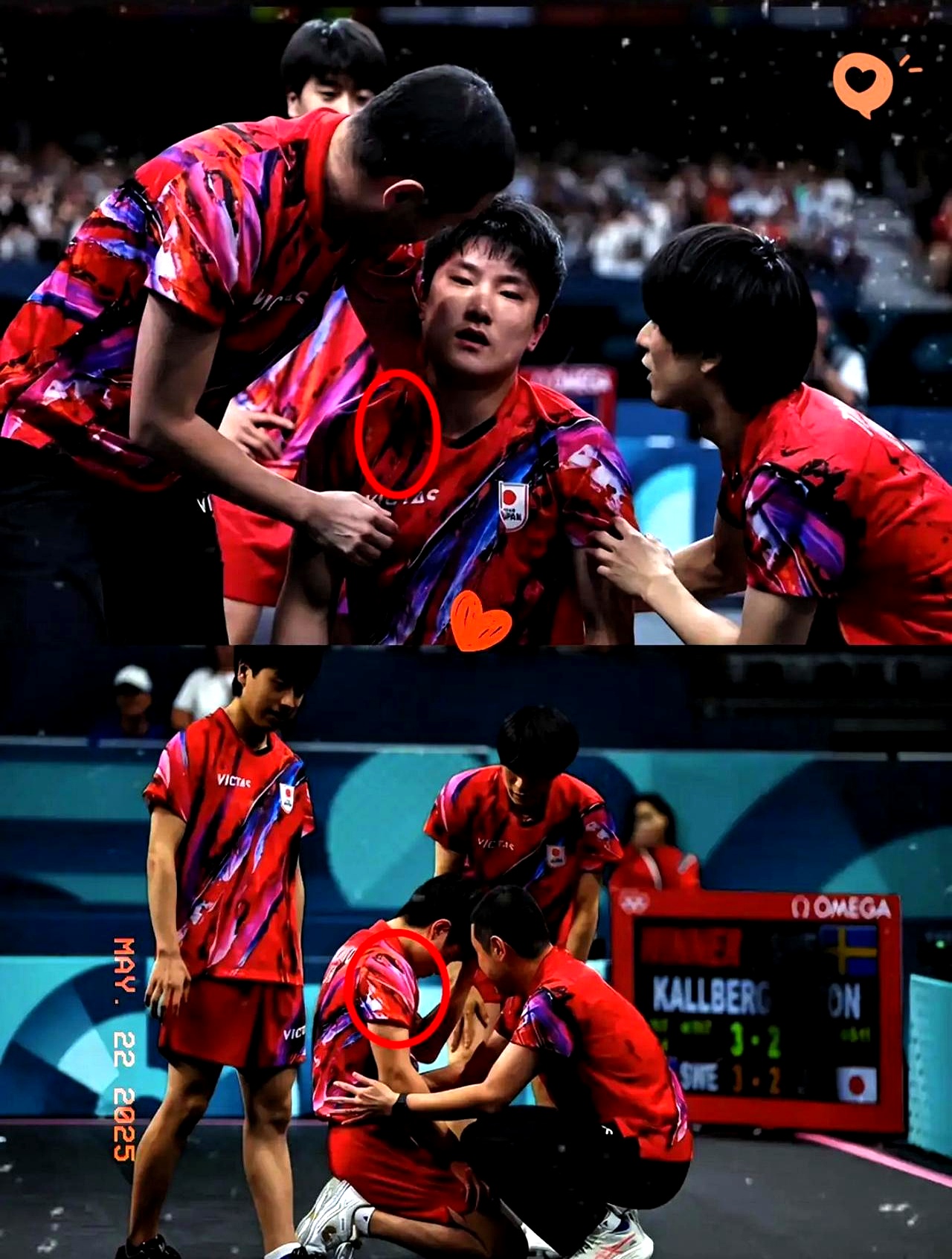 包含法国乒乓球队逆转中国乒乓球队，张本智和爆发神勇的词条