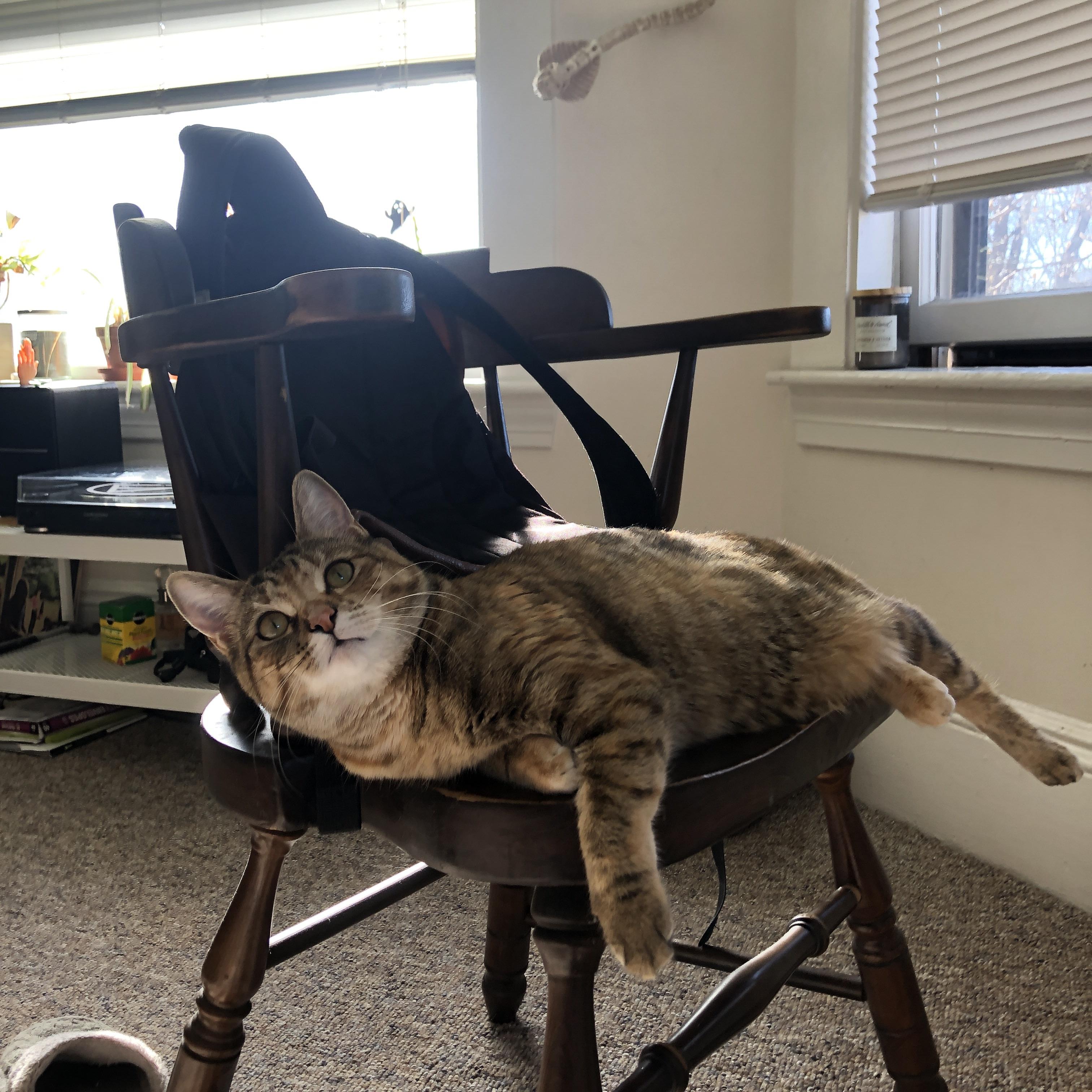 马丁内利独舞之夜，当勒沃库森遇见马里，一颗新星点燃欧陆赛场