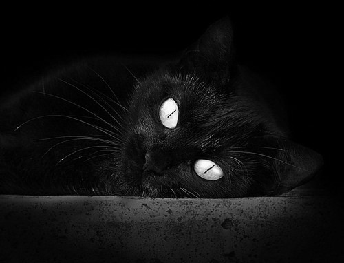 总决赛之夜,布伦森的防守艺术如何锁死对手